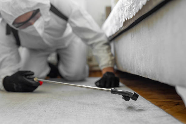 Professional Bed Bug Control technician working in Mineral County County, NV